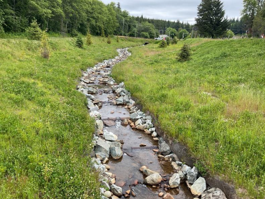 Supporting the Long-Term Health of Sumgas Creek